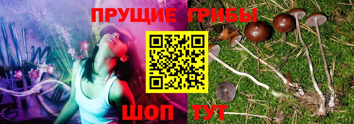 Псилоцибиновые грибы ЛСД Когалым
